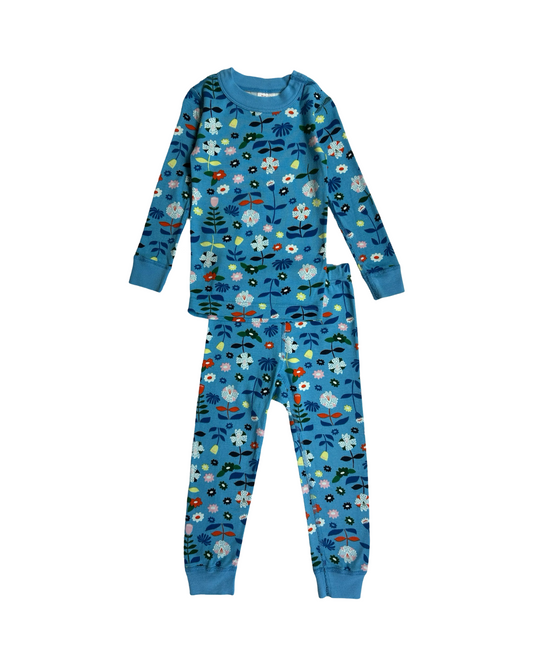 3T Toddler Girl Hanna Andersson Long Sleeve Blue Floral PJs