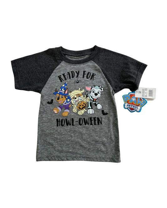 3T Toddler Boy Gray Paw Patrol Halloween Raglan T-Shirt