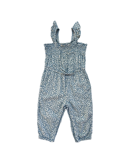 18M-24M Baby Girl Baby Gap Blue Floral Romper Longall