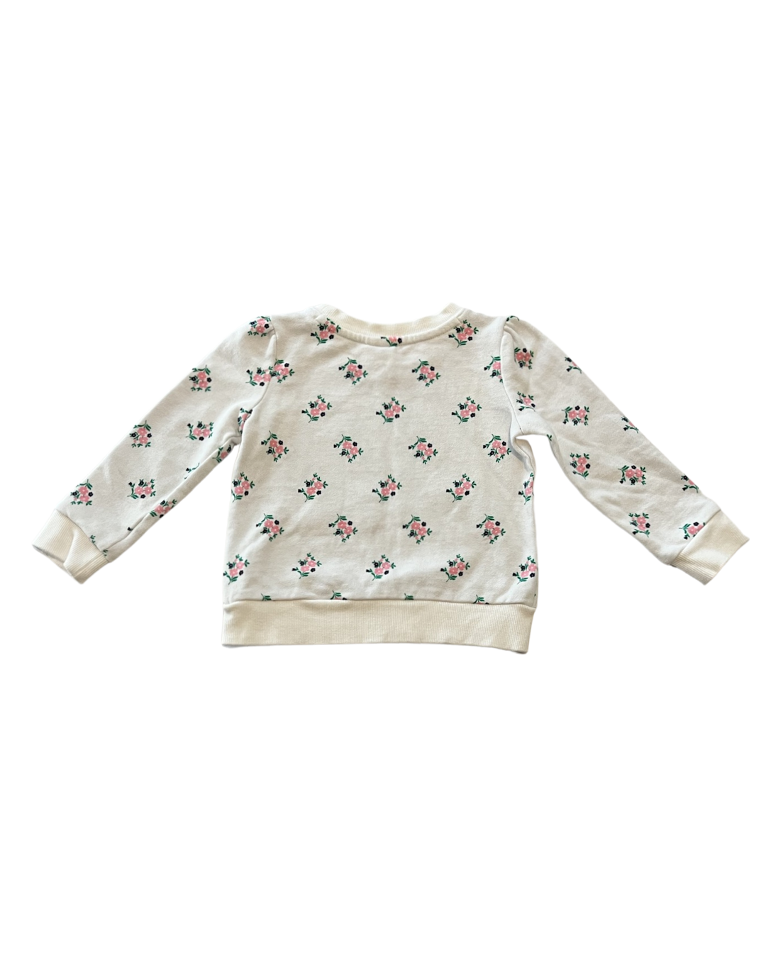 18M-24M Baby Girl Janie & Jack Floral Sweatshirt Top