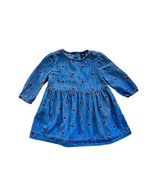 18M-24M Baby Girl Baby Gap Long Sleeve Chambray Dress w/ Embroidered Hearts