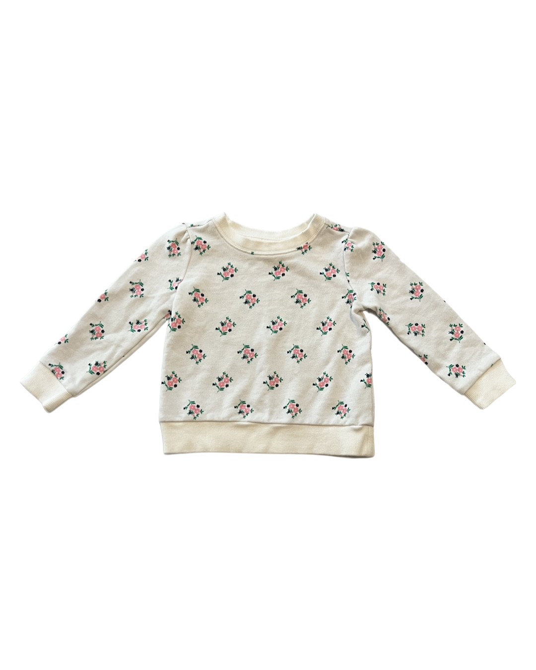 18M-24M Baby Girl Janie & Jack Floral Sweatshirt Top