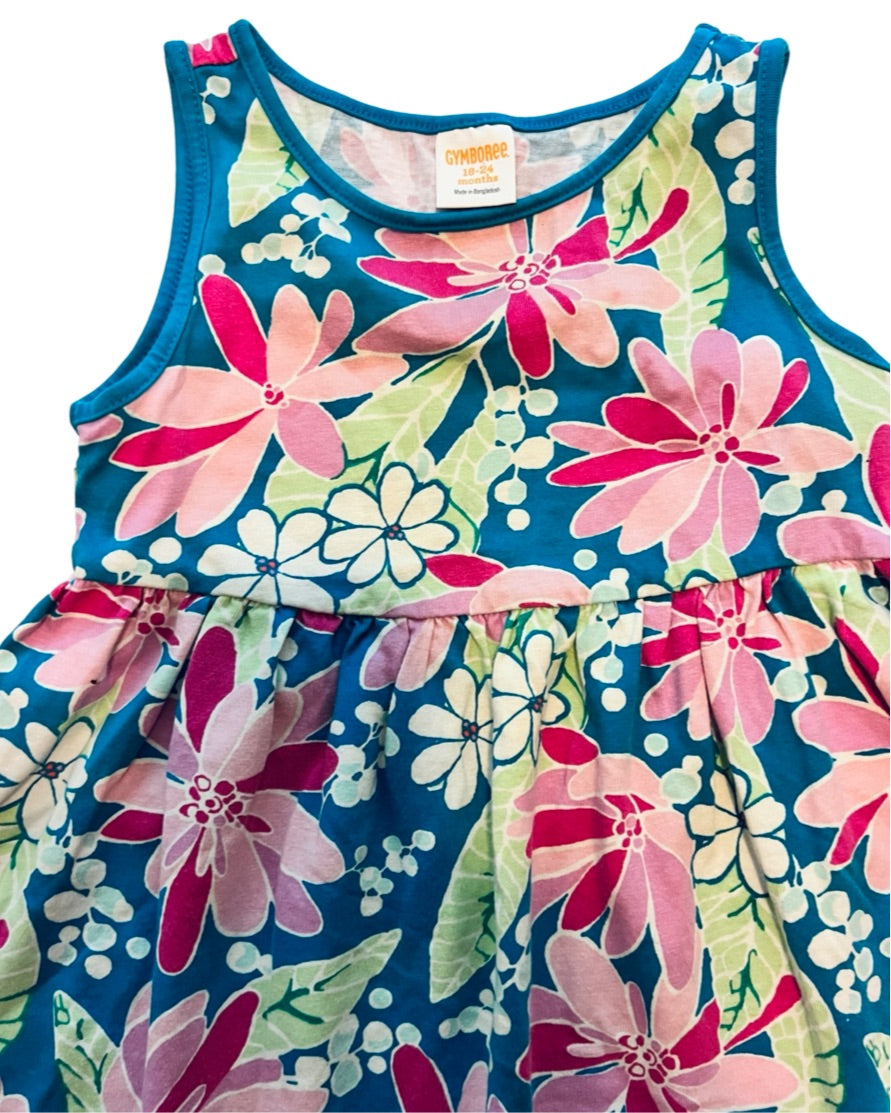 18M-24M Baby Girl Gymboree Floral Dress